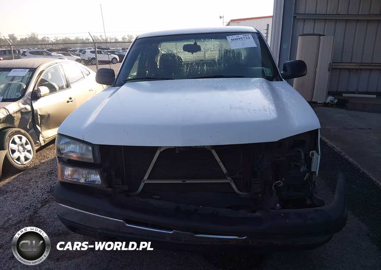 2006 Chevrolet Silverado 1500 Work Truck VIN:1GCEC19V56Z225794 - 13