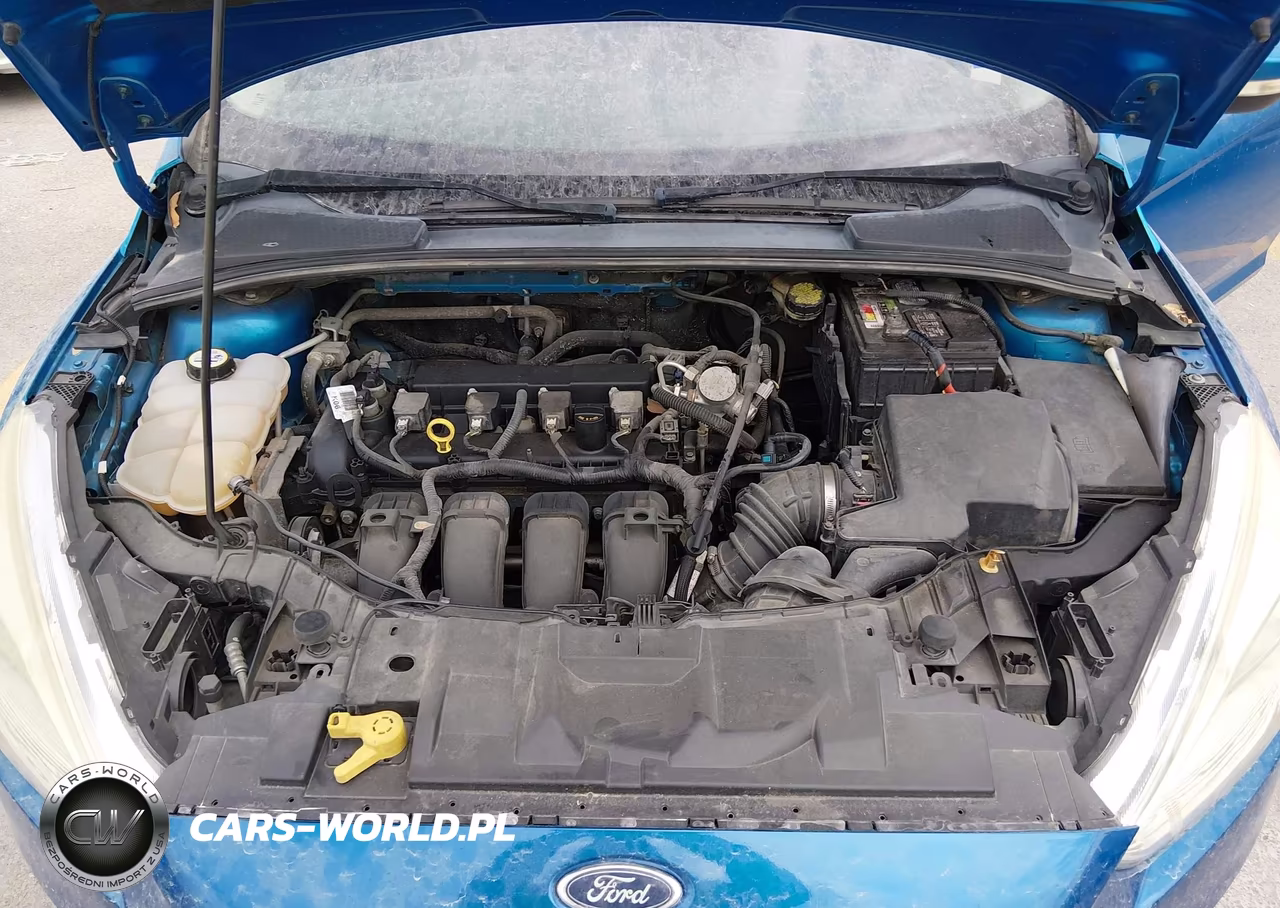 2016 Ford Focus Se VIN:1FADP3F24GL404652 - 10