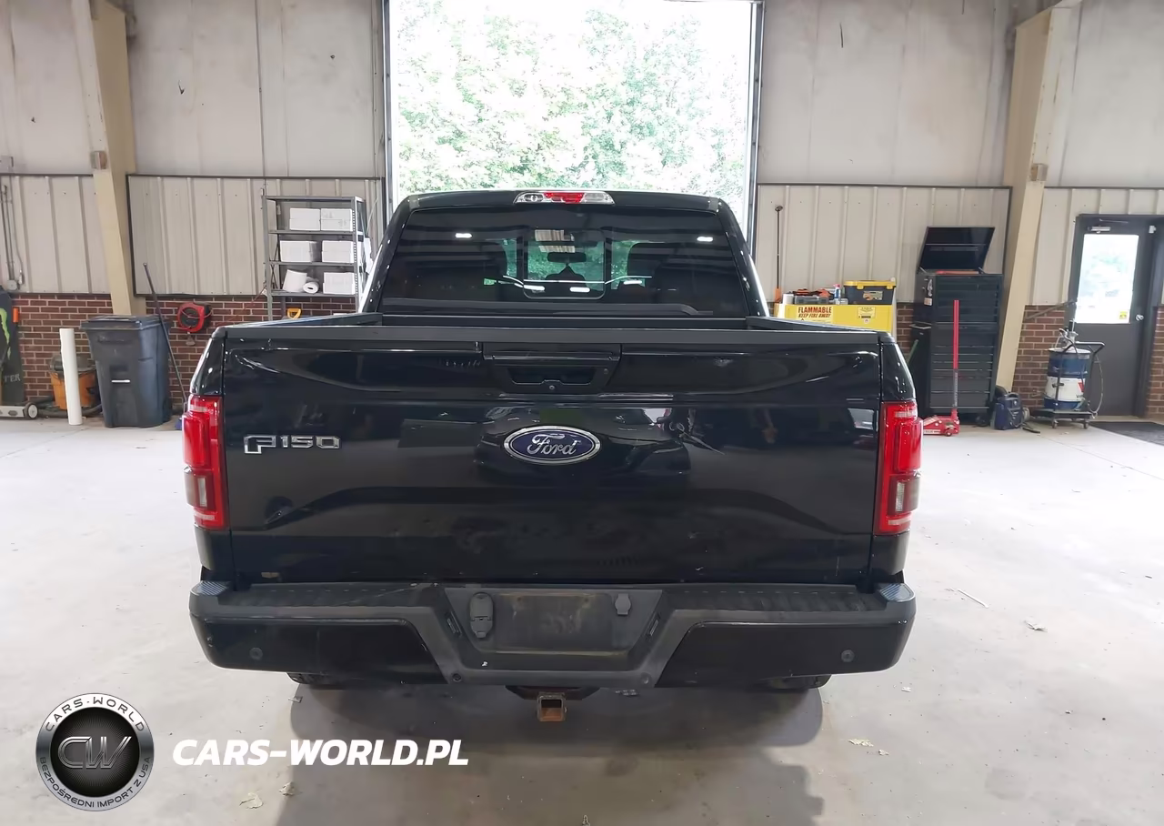 2016 Ford F-150 Lariat VIN:1FTEW1EG8GFA80297 - 17