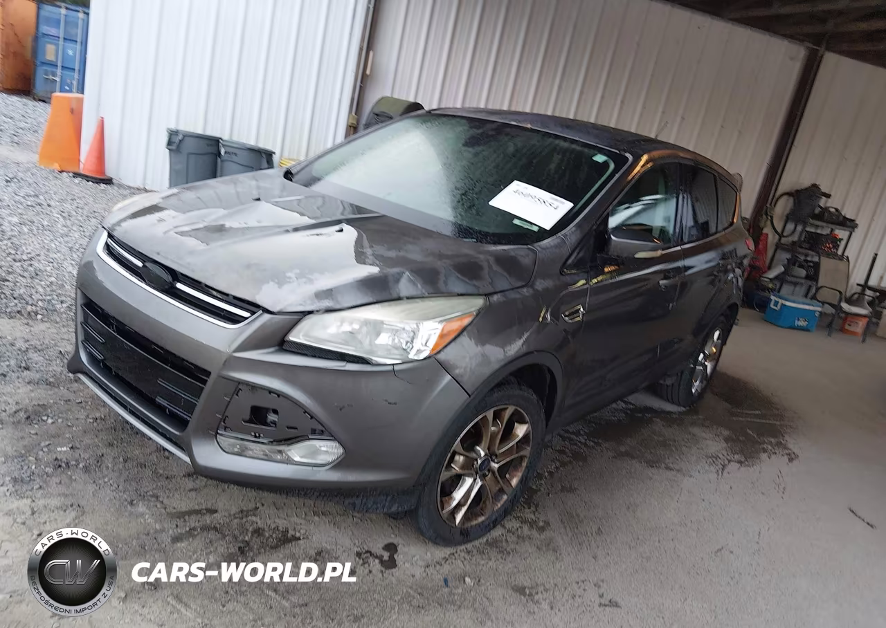 2013 Ford Escape Sel VIN:1FMCU0HX3DUD41101 - 2