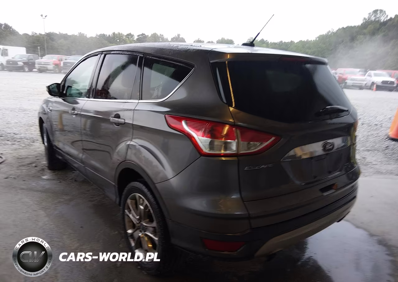 2013 Ford Escape Sel VIN:1FMCU0HX3DUD41101 - 3