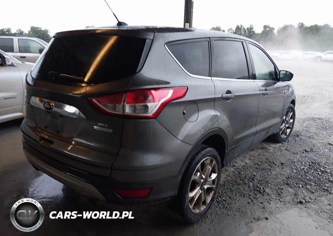 2013 Ford Escape Sel VIN:1FMCU0HX3DUD41101 - 4