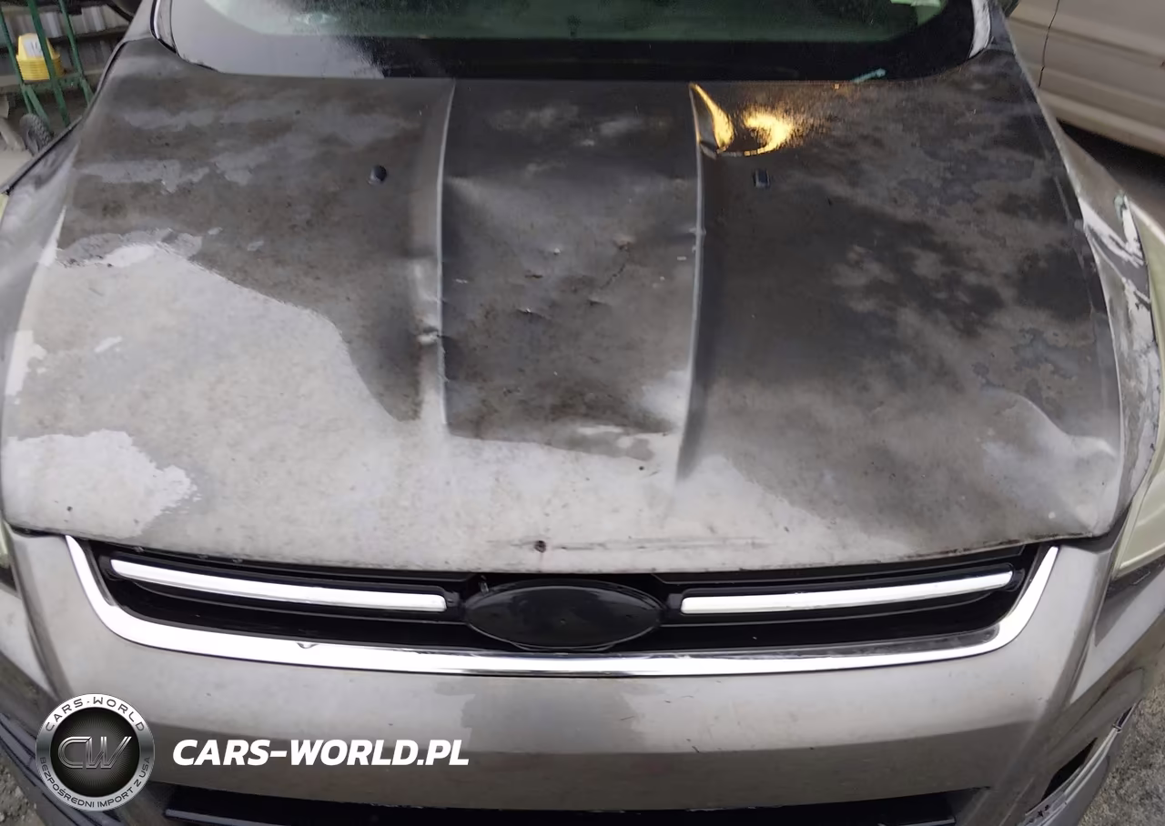 2013 Ford Escape Sel VIN:1FMCU0HX3DUD41101 - 6