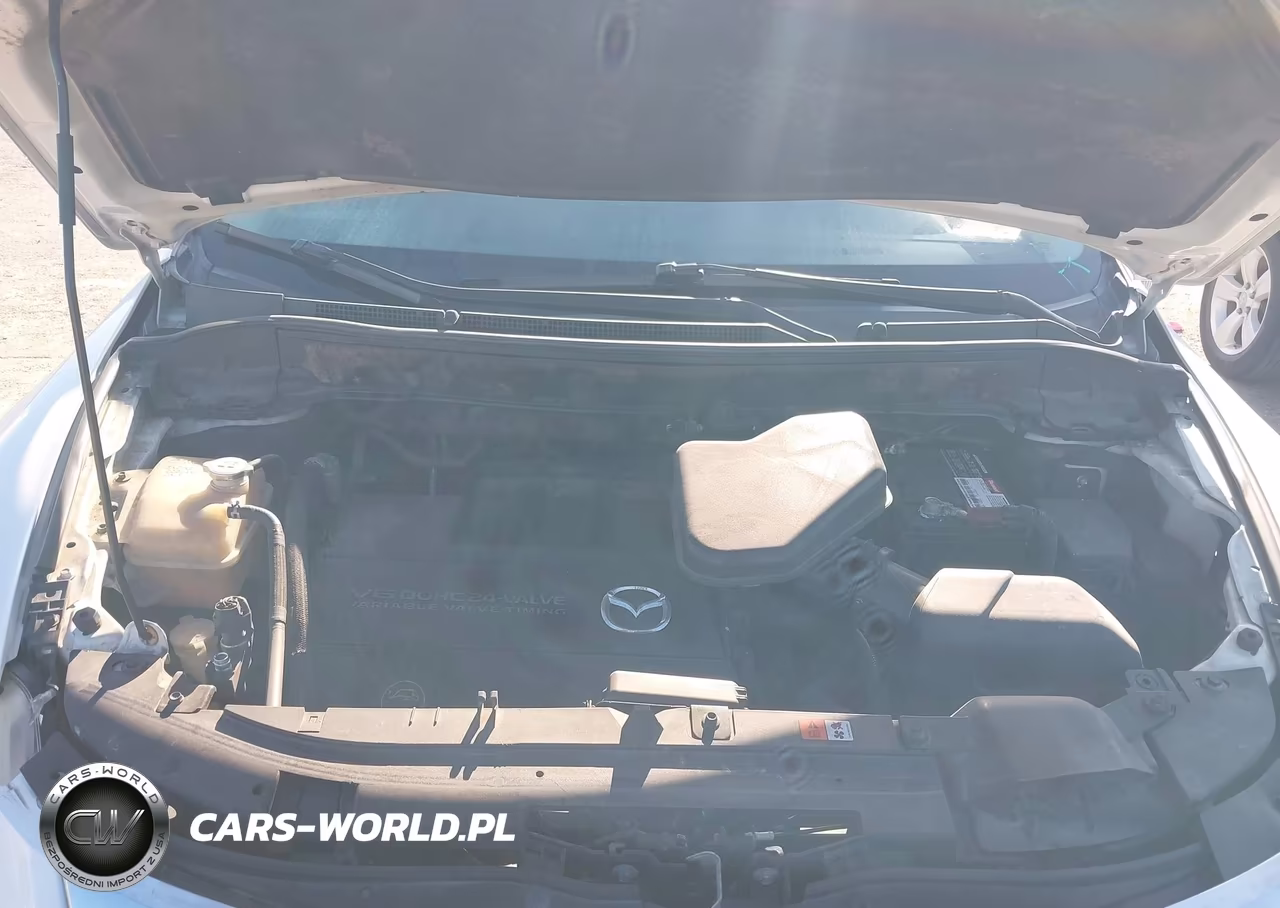 2010 Mazda Cx-9 Grand Touring VIN:JM3TB2MA5A0232446 - 10