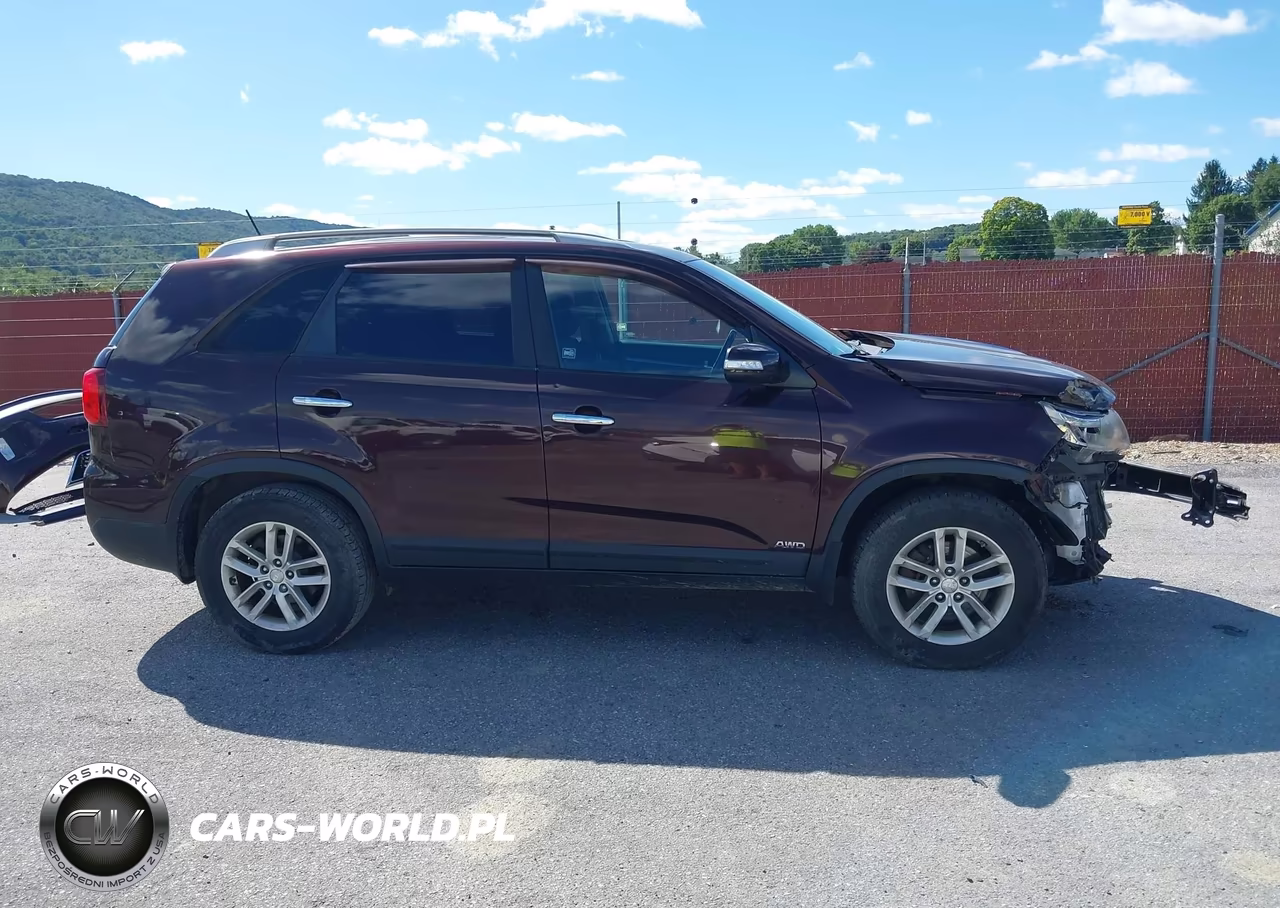 2014 Kia Sorento Lx VIN:5XYKTDA61EG449666 - 14
