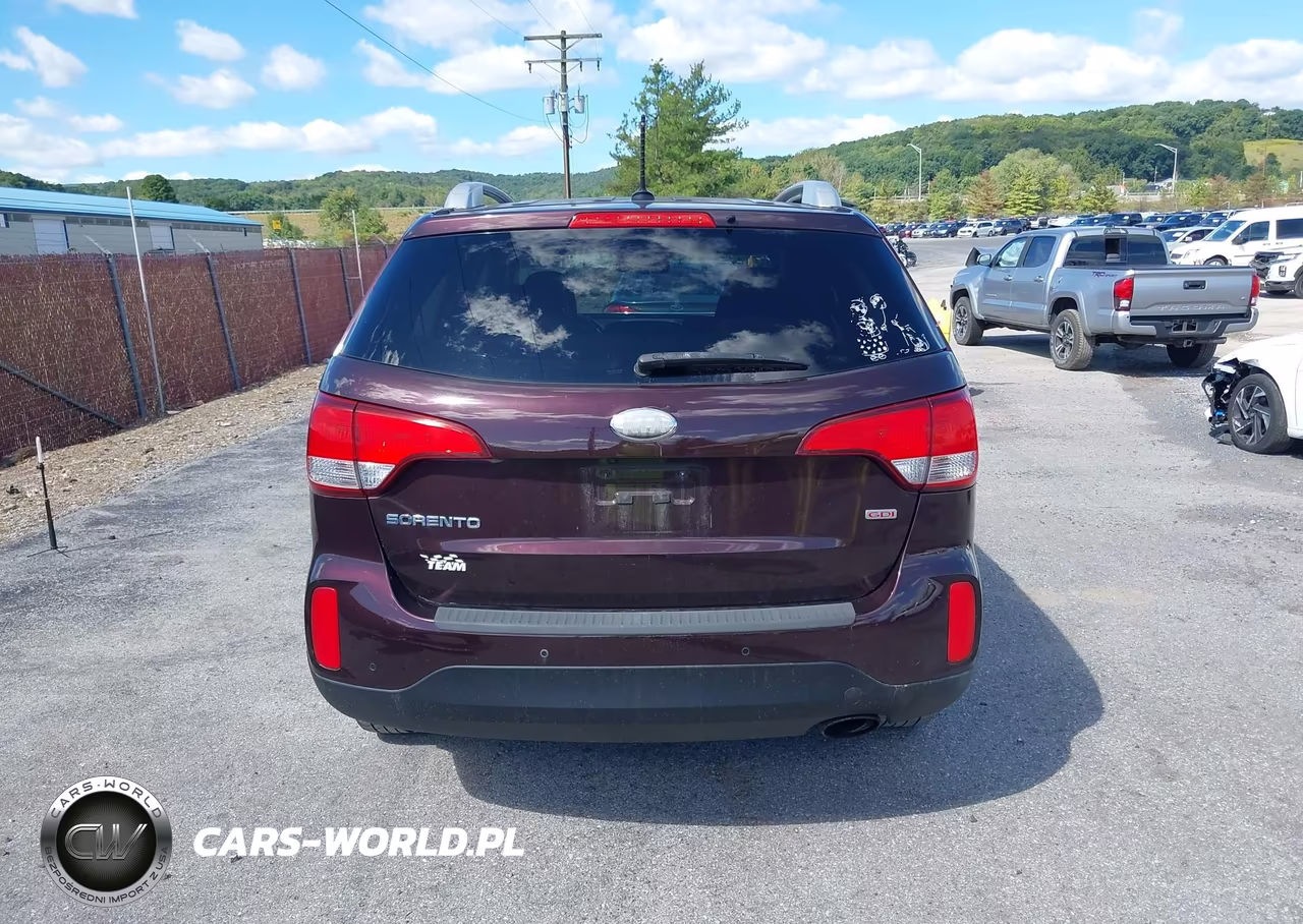 2014 Kia Sorento Lx VIN:5XYKTDA61EG449666 - 17