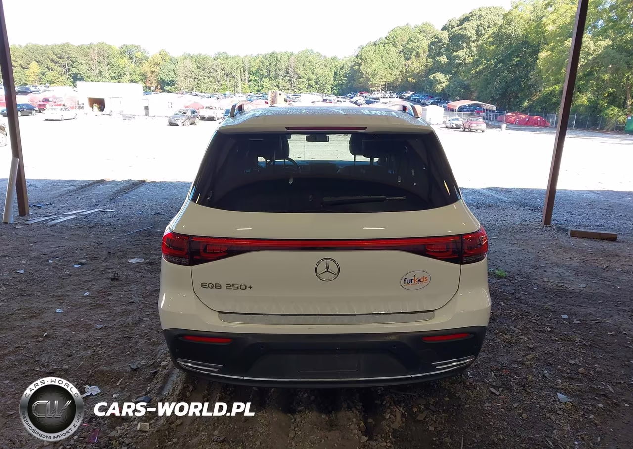 2023 Mercedes-Benz Eqb 250 Suv VIN:W1N9M0CB3PN063897 - 16