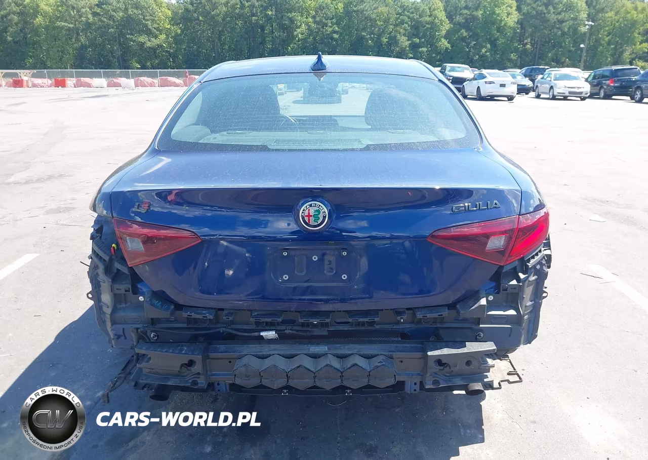 2019 Alfa Romeo Giulia Ti Sport Rwd VIN:ZARFAMBN3K7603385 - 17