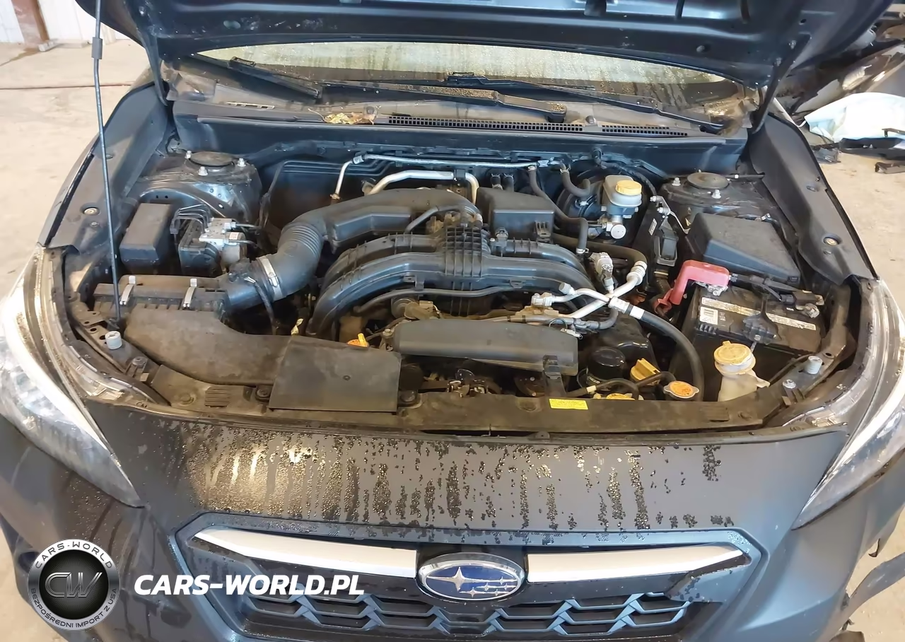 2019 Subaru Crosstrek 2.0I VIN:JF2GTAAC2K8270163 - 10