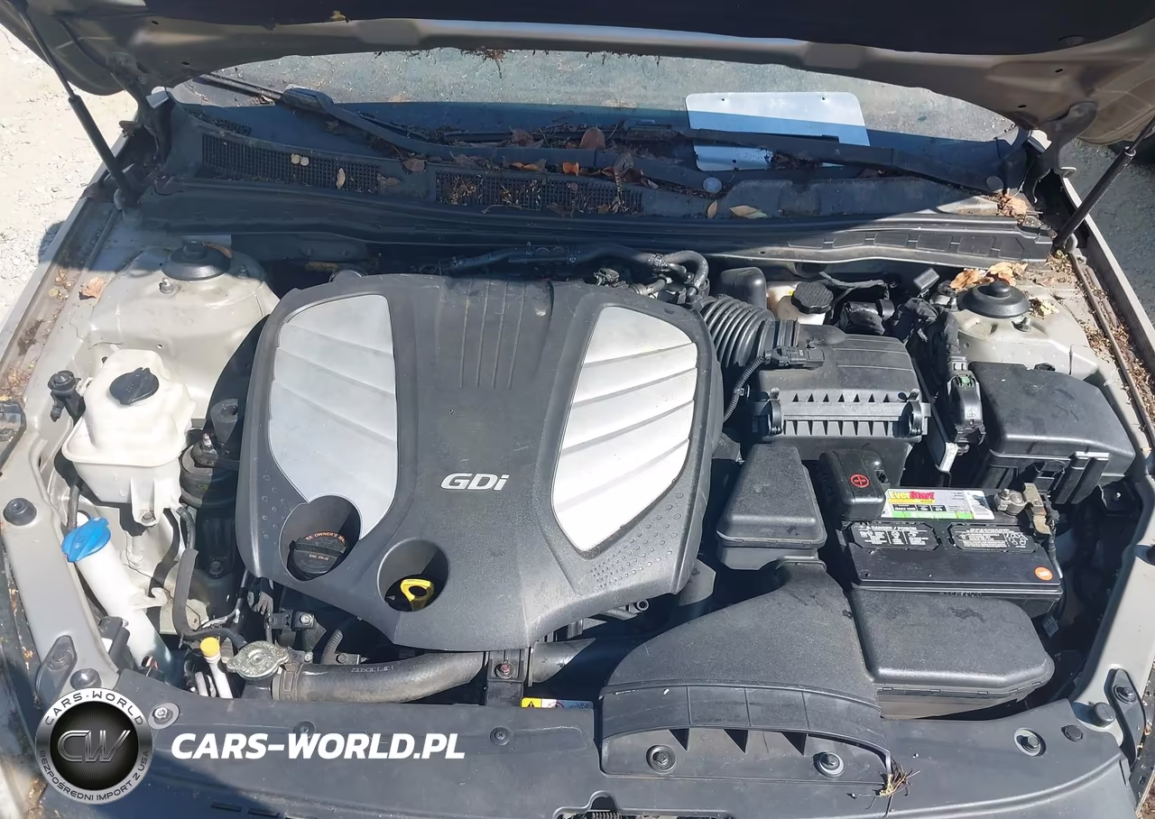 2014 Kia Cadenza Premium VIN:KNALN4D79E5133425 - 10