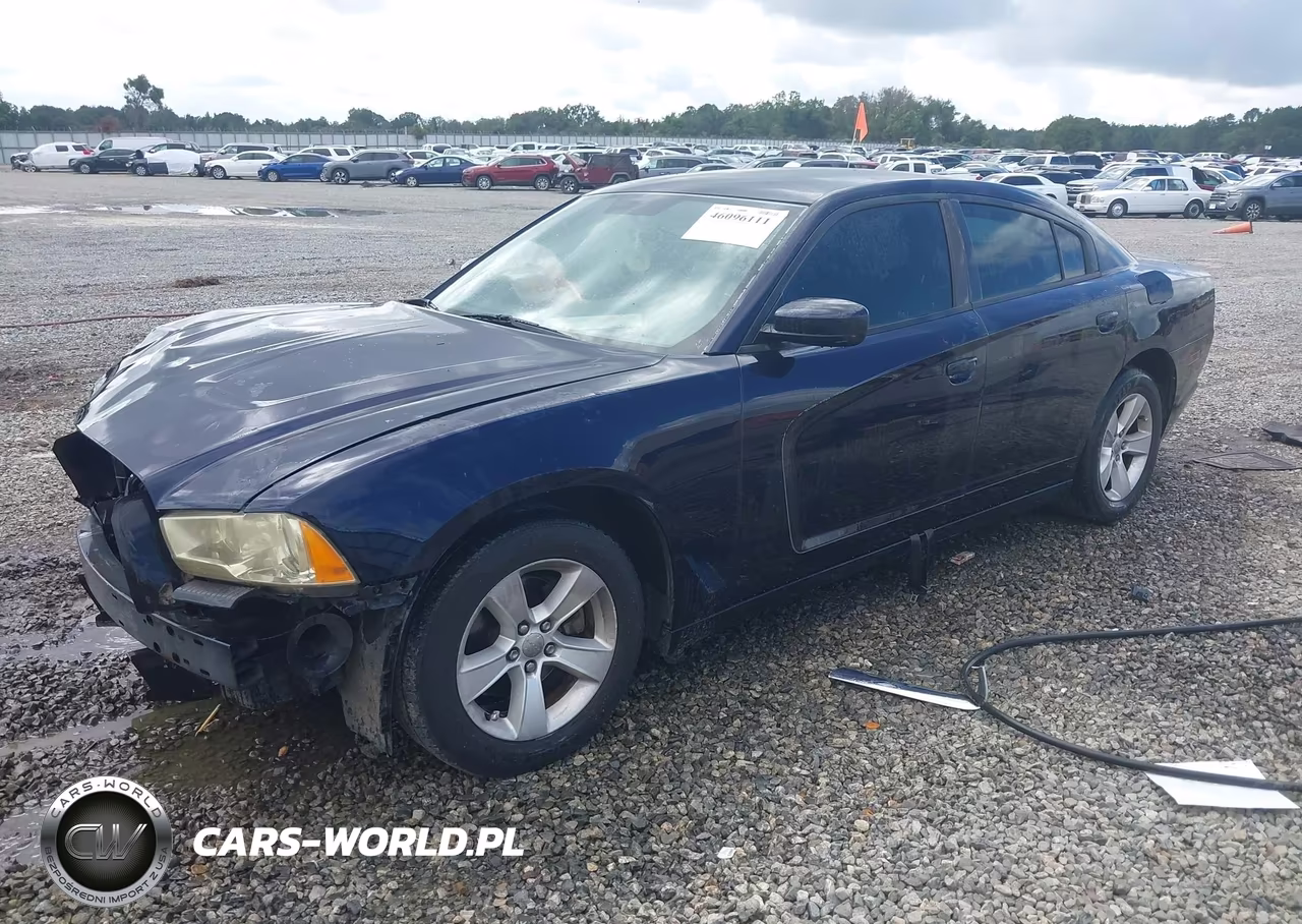 2011 Dodge Charger VIN:2B3CL3CG3BH543941 - 2