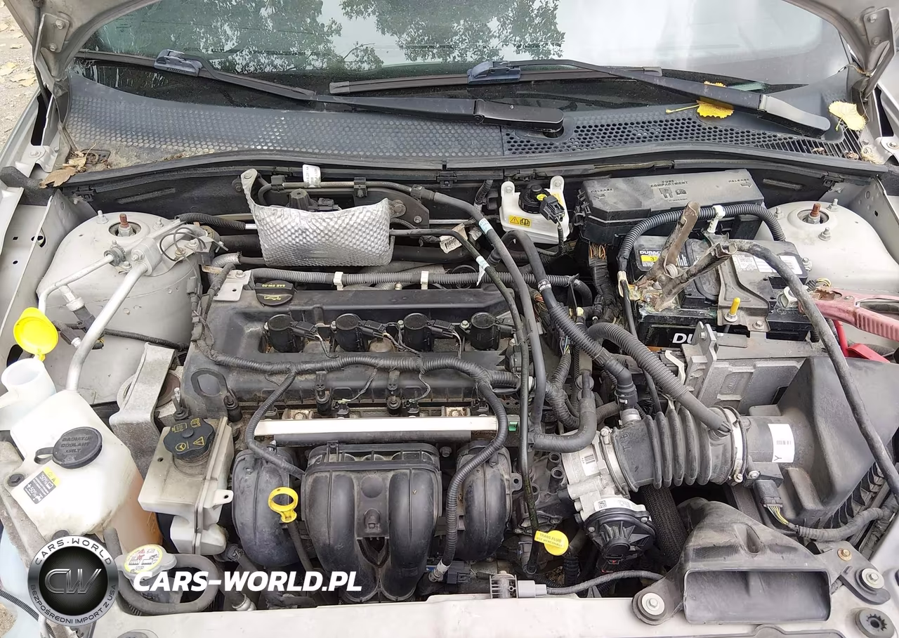 2010 Ford Focus Ses VIN:1FAHP3DN6AW106429 - 10