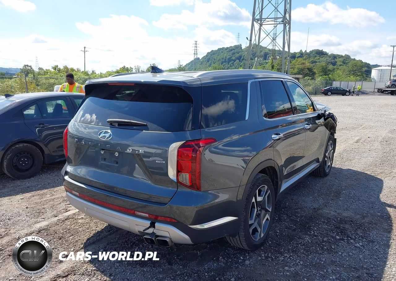 2024 Hyundai Palisade Limited VIN:KM8R5DGE9RU804364 - 4