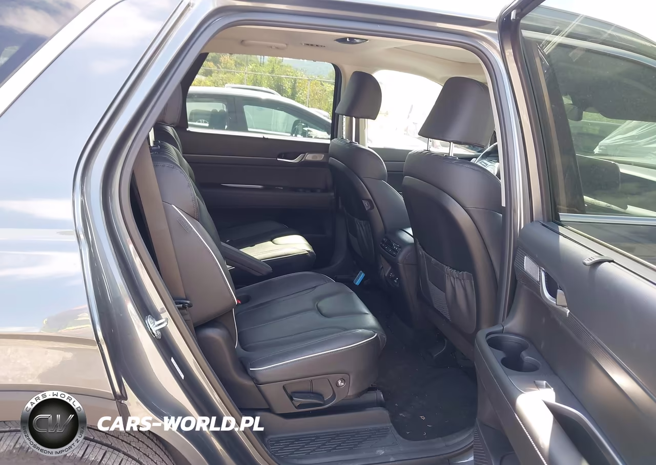 2024 Hyundai Palisade Limited VIN:KM8R5DGE9RU804364 - 8