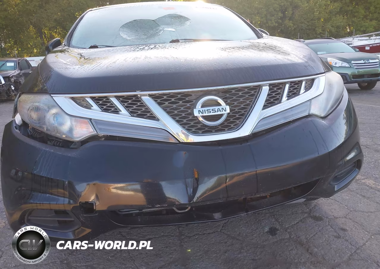 2014 Nissan Murano Le-S-Sl-Sv VIN:JN8AZ1MW4EW521620 - 20