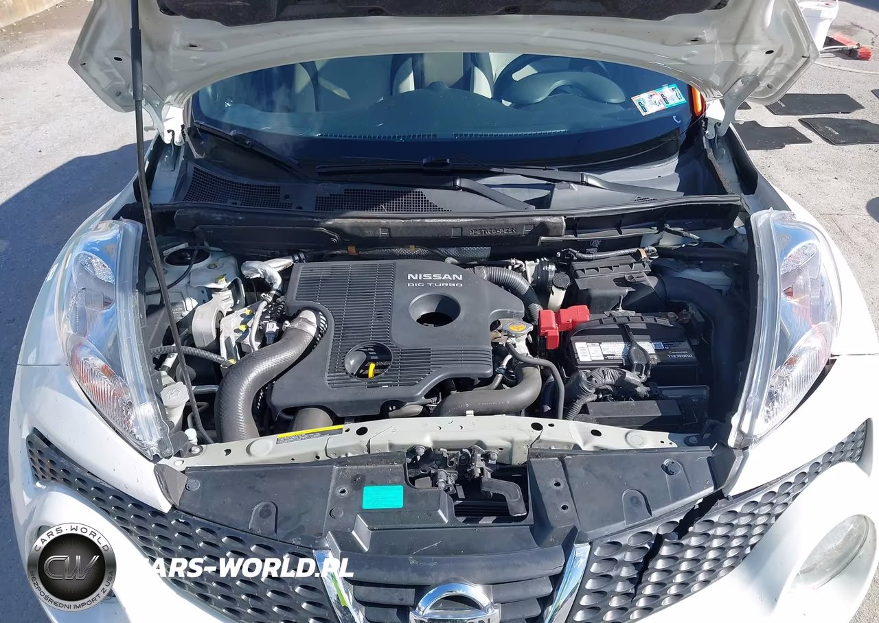 2013 Nissan Juke Sv VIN:JN8AF5MV3DT218304 - 10