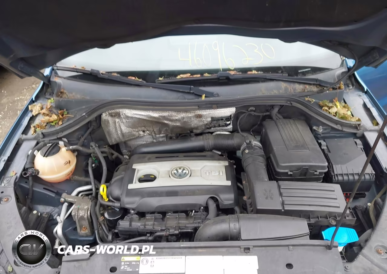 2017 Volkswagen Tiguan 2.0T Wolfsburg Edition VIN:WVGSV7AX4HW501668 - 10