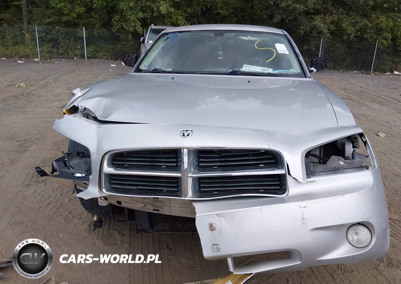2010 Dodge Charger Sxt VIN:2B3CA3CV1AH125462 - 10
