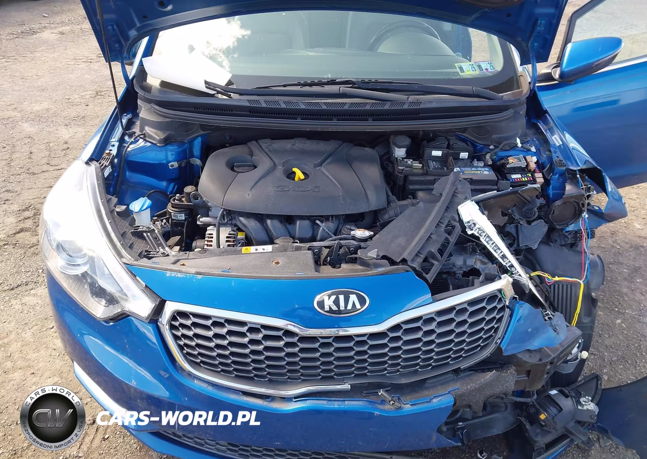 2015 Kia Forte Ex VIN:KNAFZ4A81F5300201 - 10