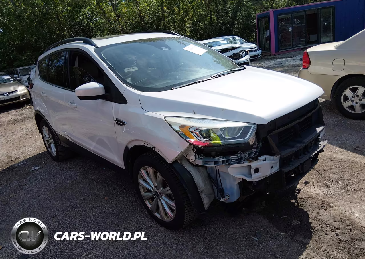 2019 Ford Escape Sel