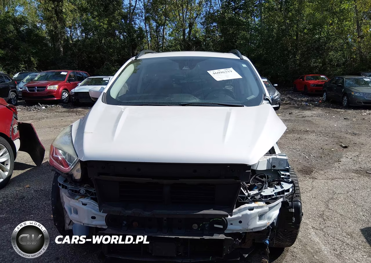2019 Ford Escape Sel VIN:1FMCU9HD9KUA03256 - 12