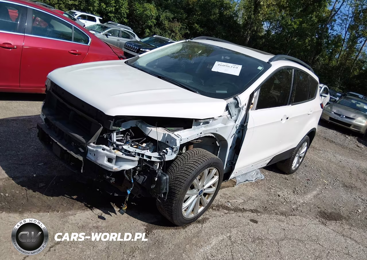 2019 Ford Escape Sel VIN:1FMCU9HD9KUA03256 - 2
