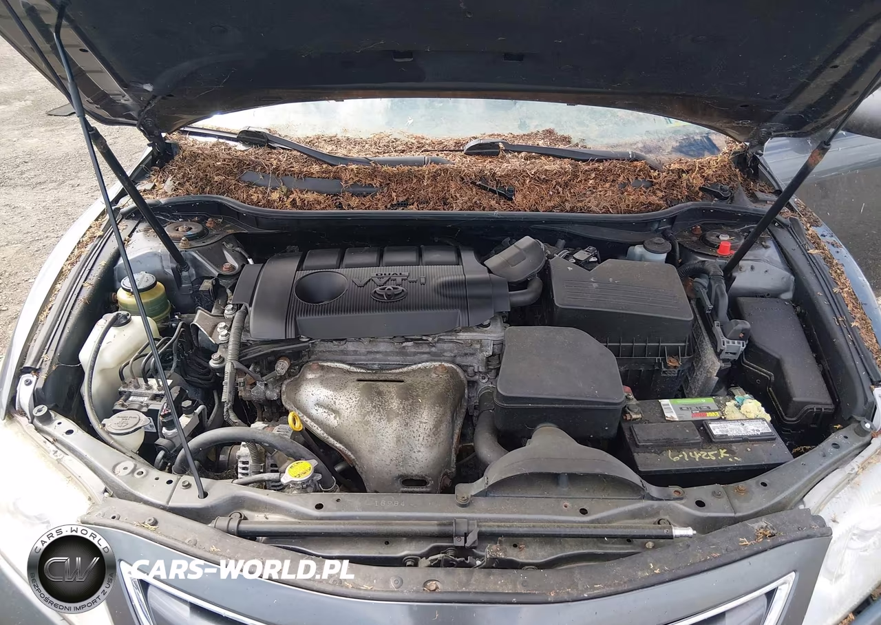 2010 Toyota Camry Le VIN:4T1BF3EK8AU102963 - 10