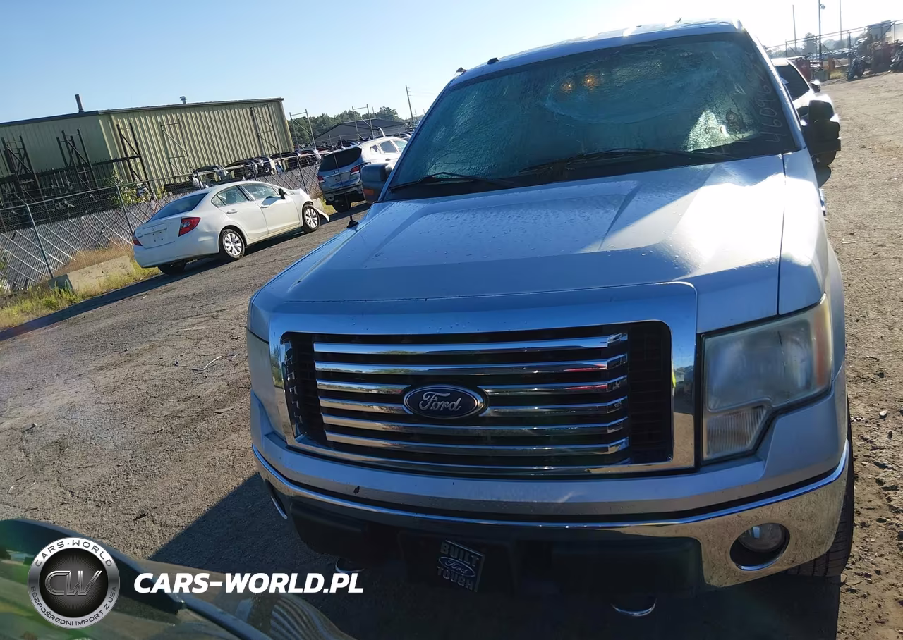 2010 Ford F-150 Xl-Xlt VIN:1FTEW1E84AFB76279 - 12