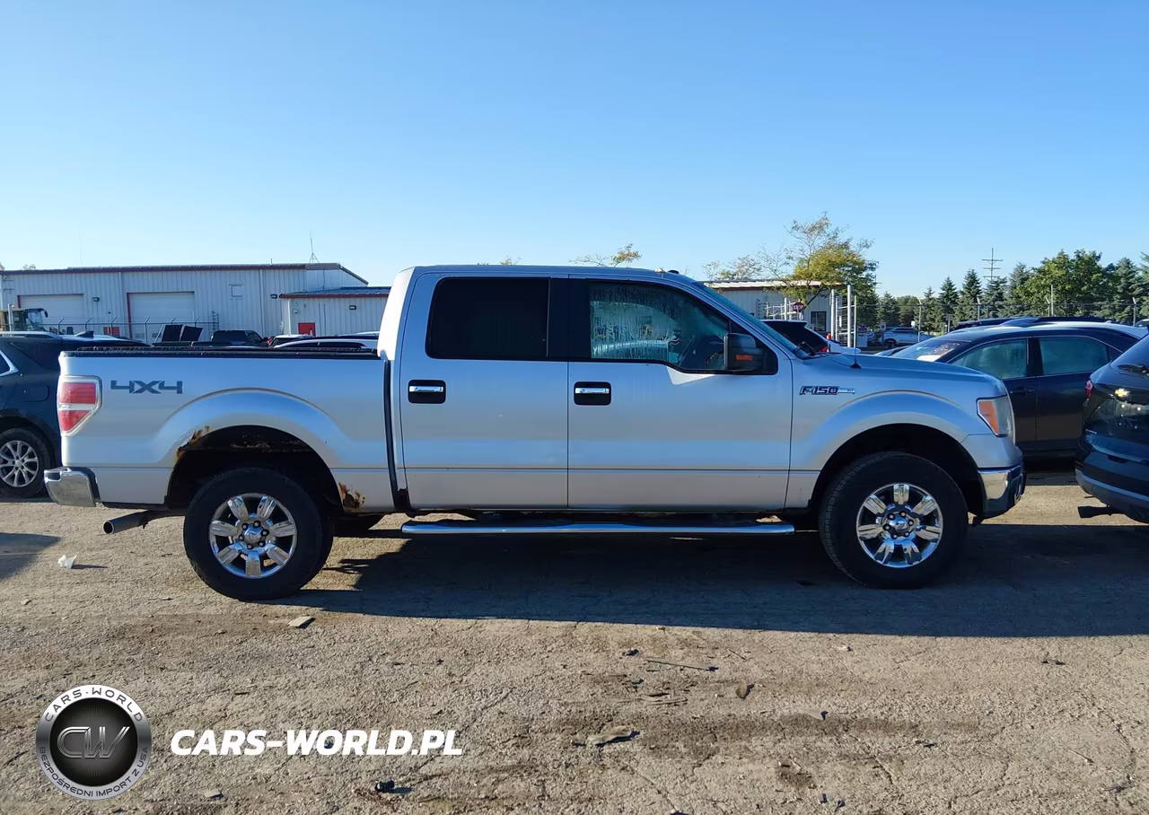 2010 Ford F-150 Xl-Xlt VIN:1FTEW1E84AFB76279 - 13