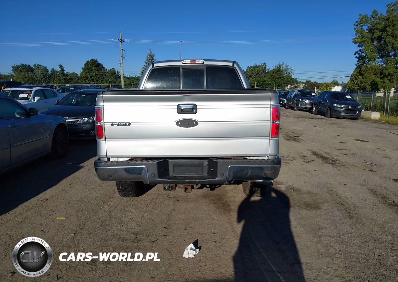 2010 Ford F-150 Xl-Xlt VIN:1FTEW1E84AFB76279 - 16