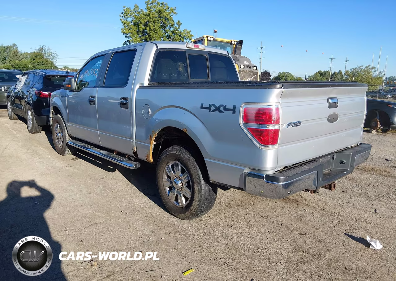 2010 Ford F-150 Xl-Xlt VIN:1FTEW1E84AFB76279 - 3