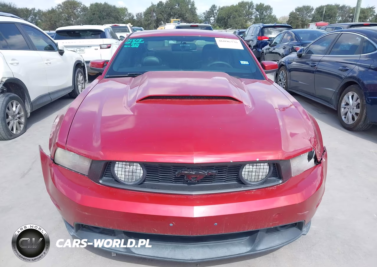 2010 Ford Mustang Gt Premium VIN:1ZVBP8CH9A5151389 - 12
