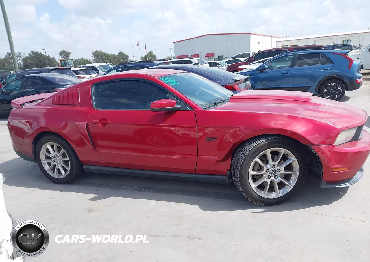 2010 Ford Mustang Gt Premium VIN:1ZVBP8CH9A5151389 - 13