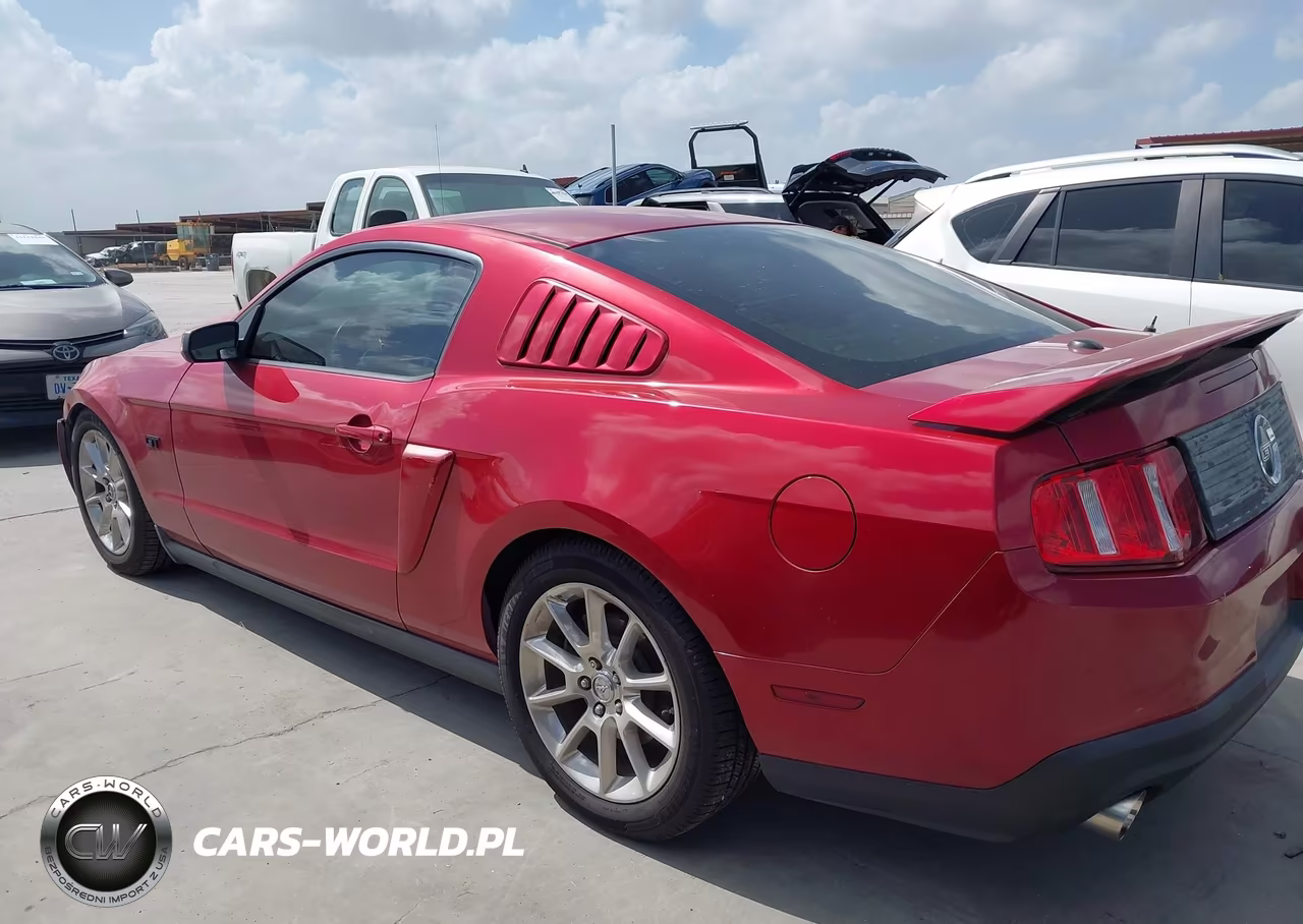 2010 Ford Mustang Gt Premium VIN:1ZVBP8CH9A5151389 - 14