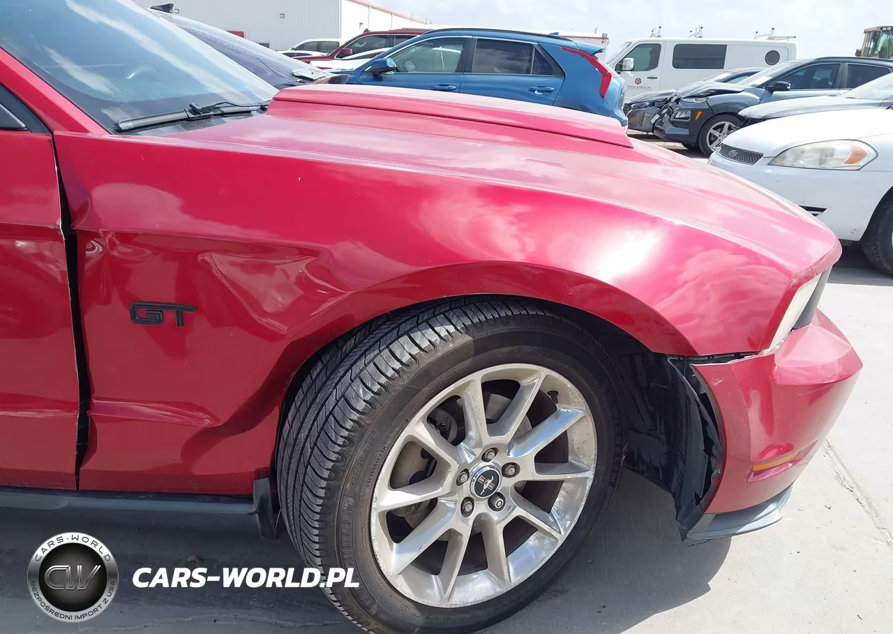 2010 Ford Mustang Gt Premium VIN:1ZVBP8CH9A5151389 - 6