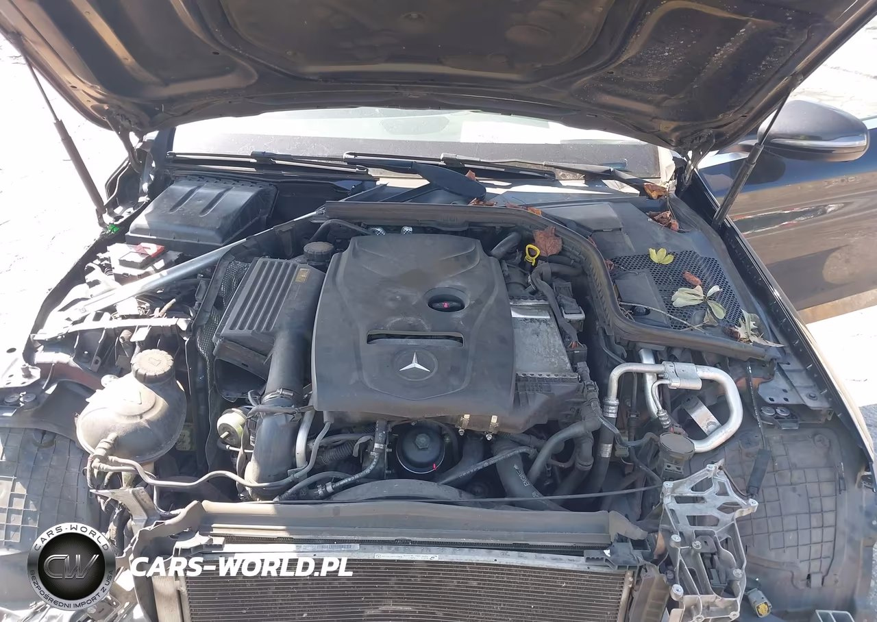 2017 Mercedes-Benz C 300 VIN:55SWF4JB0HU198770 - 10