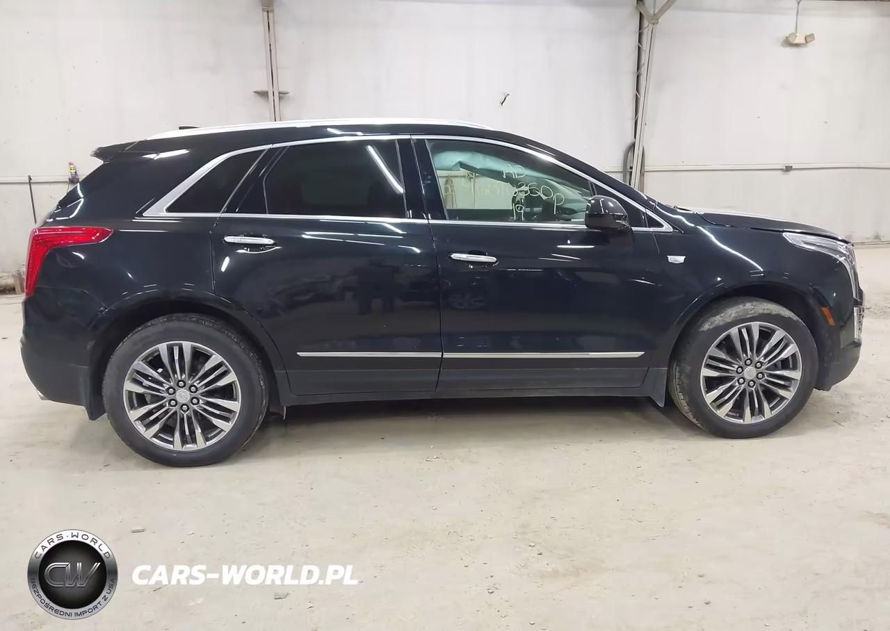 2019 Cadillac Xt5 Premium Luxury VIN:1GYKNFRS6KZ103286 - 13