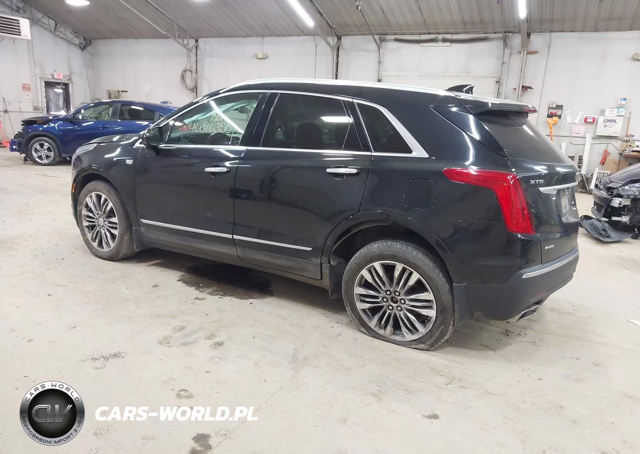 2019 Cadillac Xt5 Premium Luxury VIN:1GYKNFRS6KZ103286 - 3