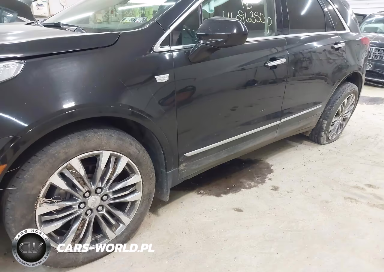 2019 Cadillac Xt5 Premium Luxury VIN:1GYKNFRS6KZ103286 - 6