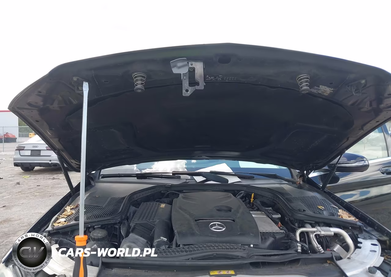 2017 Mercedes-Benz C 300 VIN:55SWF4JBXHU197562 - 10