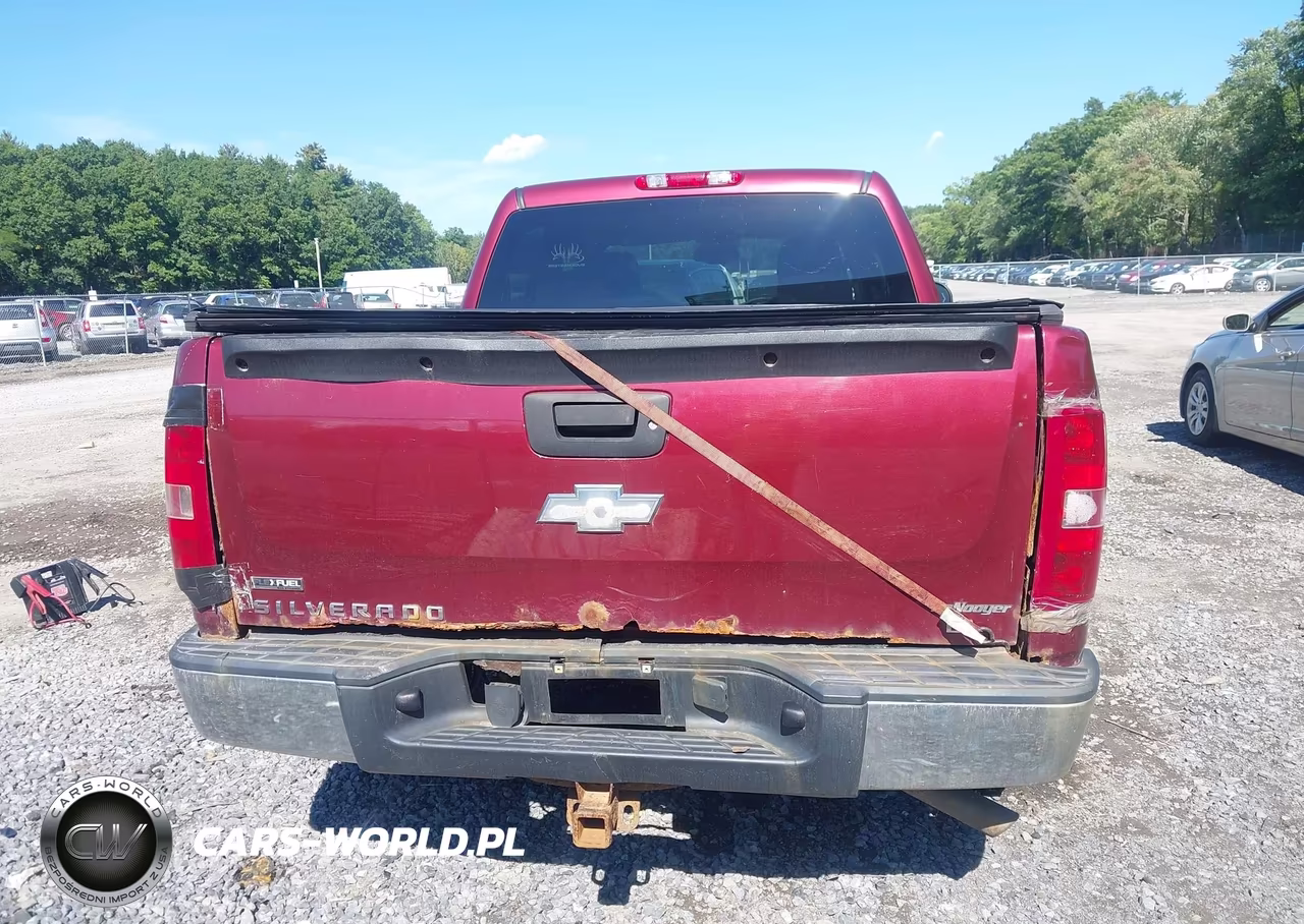 2009 Chevrolet Silverado 1500 Lt VIN:3GCEK23399G221803 - 17