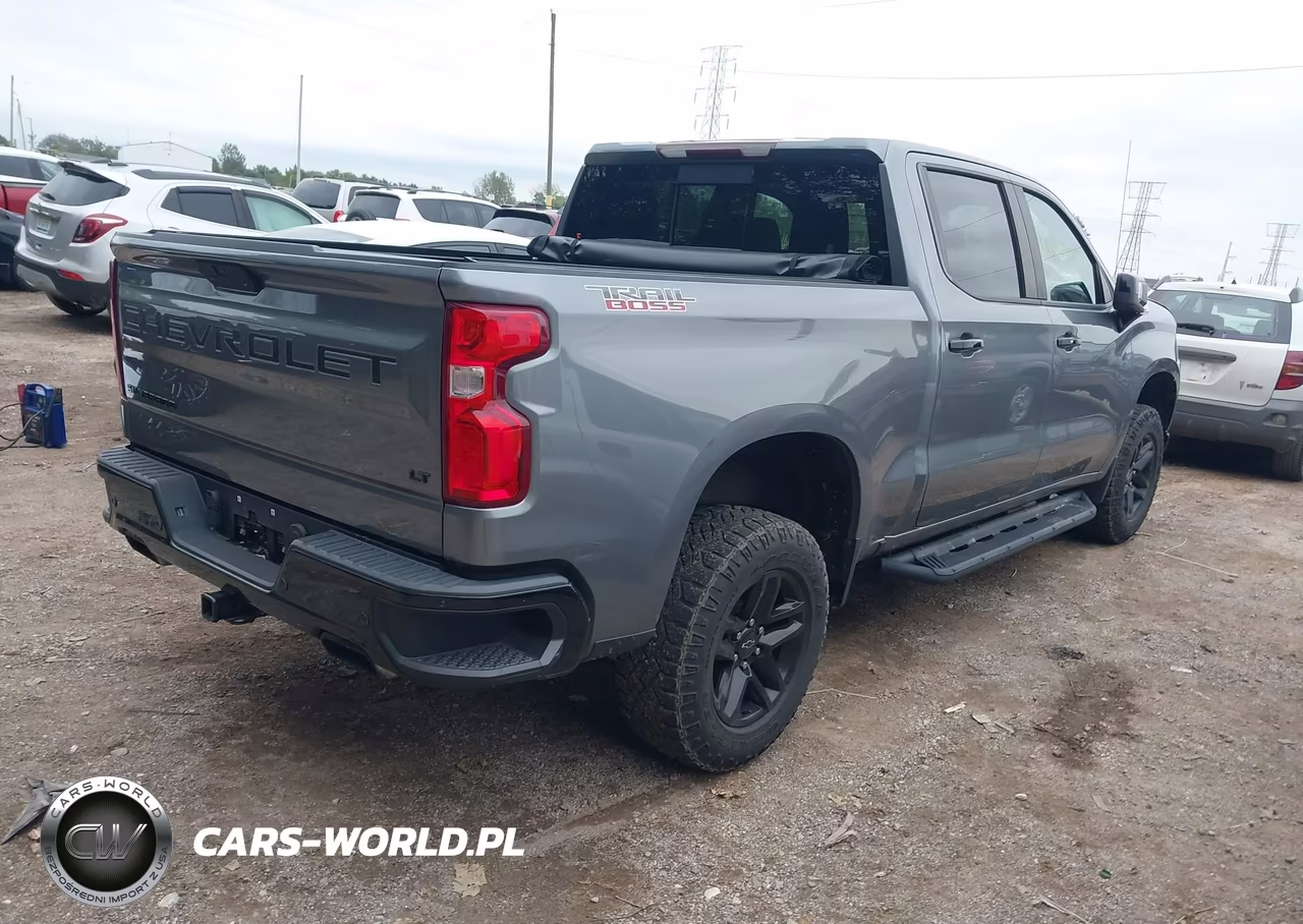 2020 Chevrolet Silverado 1500 4Wd Short Bed Lt Trail Boss VIN:1GCPYFELXLZ258958 - 4