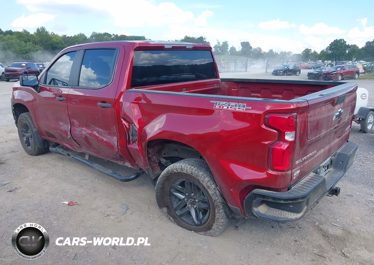 2021 Chevrolet Silverado 1500 4Wd Short Bed Custom Trail Boss VIN:1GCPYCEF1MZ297416 - 3