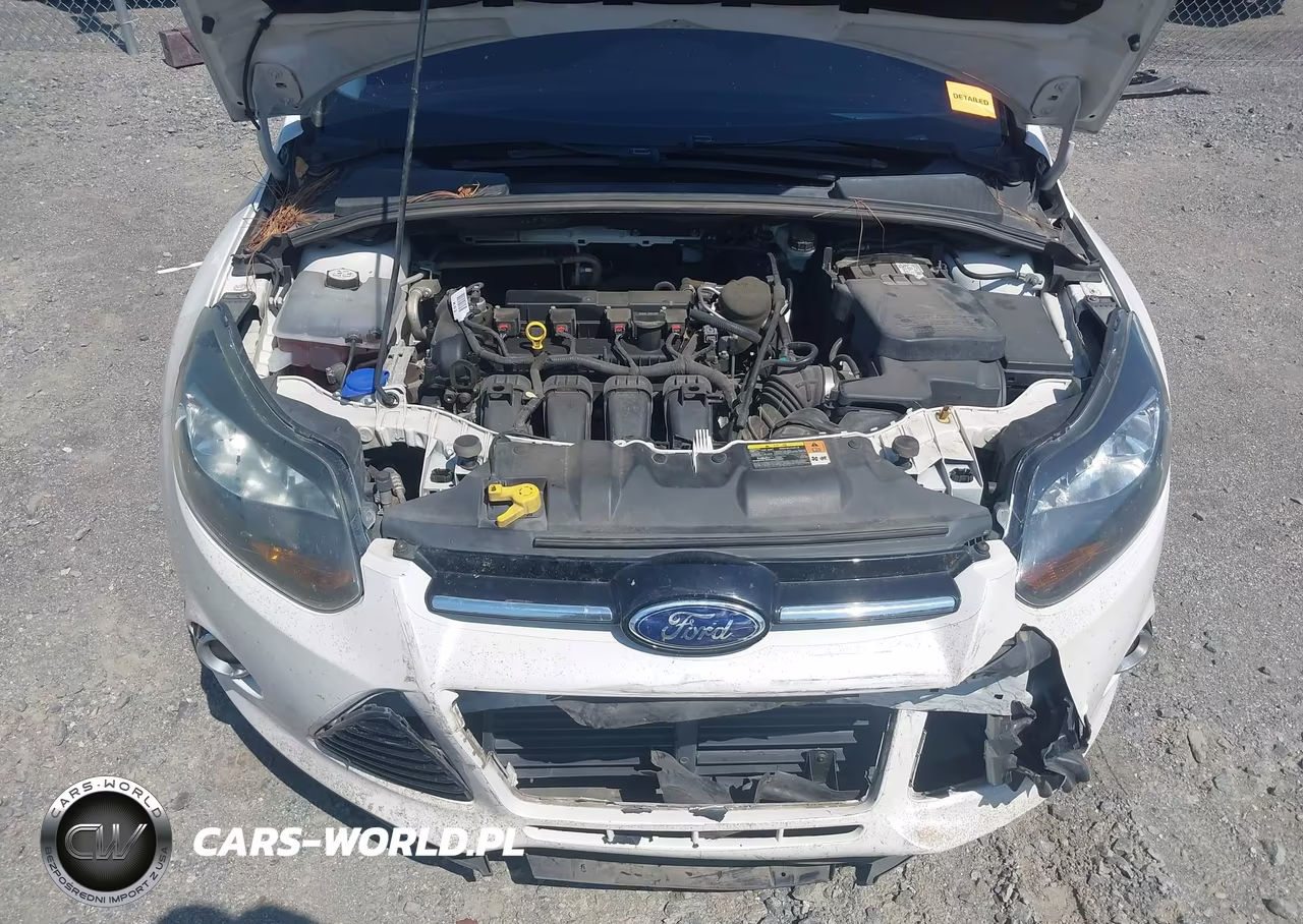 2014 Ford Focus Titanium VIN:1FADP3N22EL126817 - 10