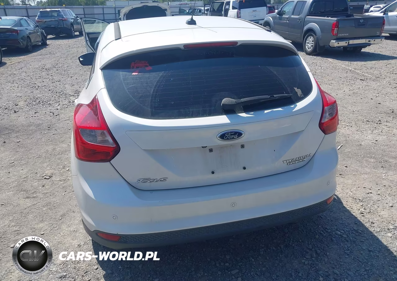 2014 Ford Focus Titanium VIN:1FADP3N22EL126817 - 17