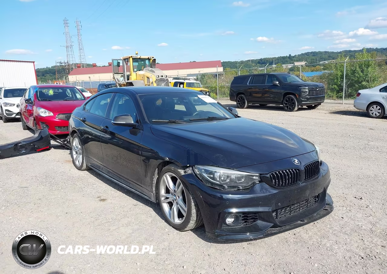 2019 BMW 430I Gran Coupe xDrive VIN:WBA4J3C5XKBL05985 - 1