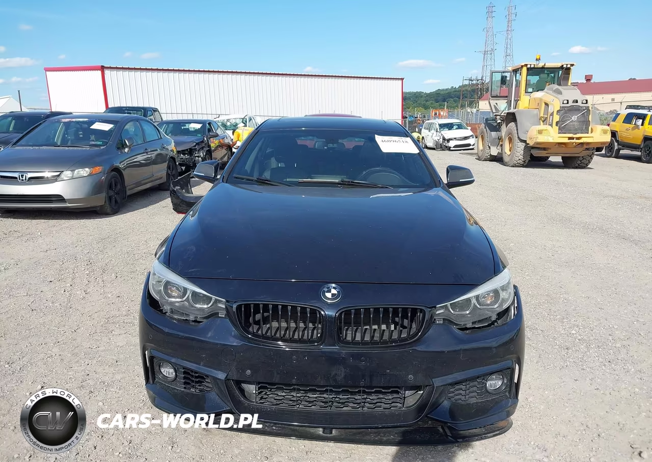 2019 BMW 430I Gran Coupe xDrive VIN:WBA4J3C5XKBL05985 - 13