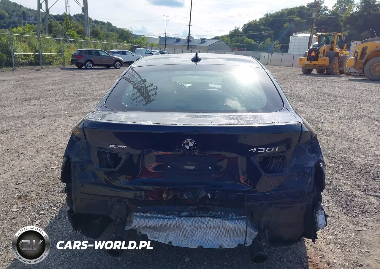 2019 BMW 430I Gran Coupe xDrive VIN:WBA4J3C5XKBL05985 - 17