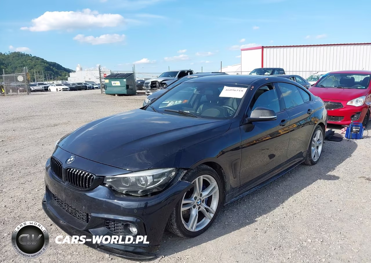 2019 BMW 430I Gran Coupe xDrive VIN:WBA4J3C5XKBL05985 - 2
