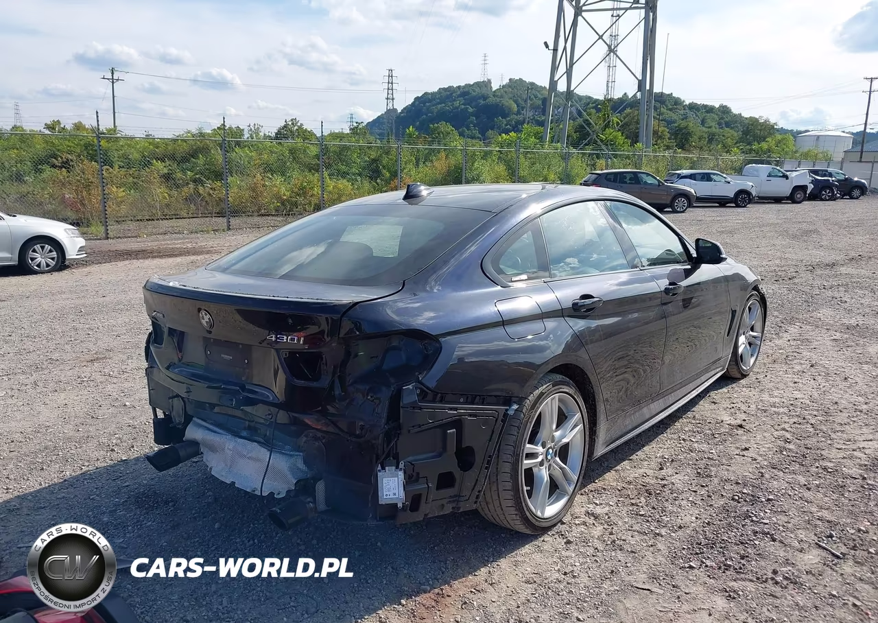 2019 BMW 430I Gran Coupe xDrive VIN:WBA4J3C5XKBL05985 - 4